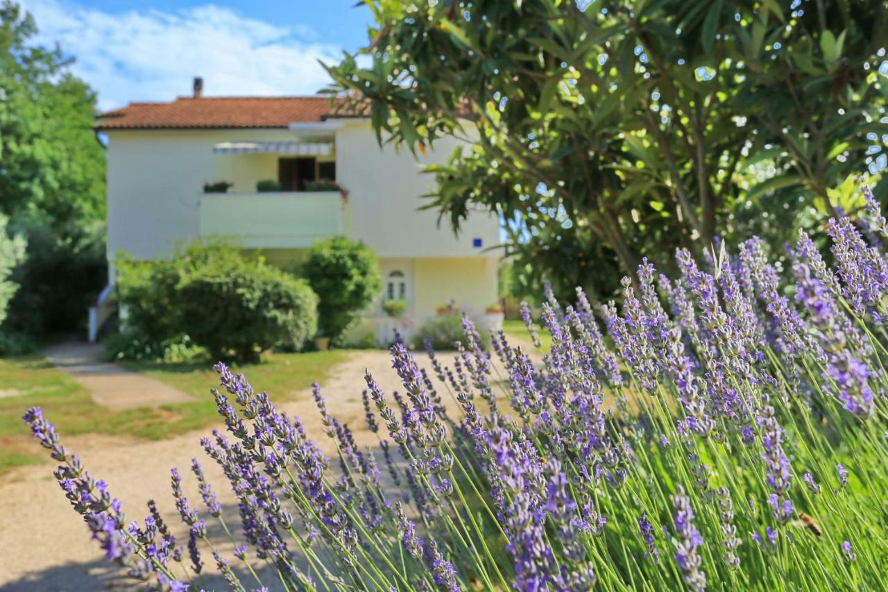 Apartments Romansa Zaton  Εξωτερικό φωτογραφία