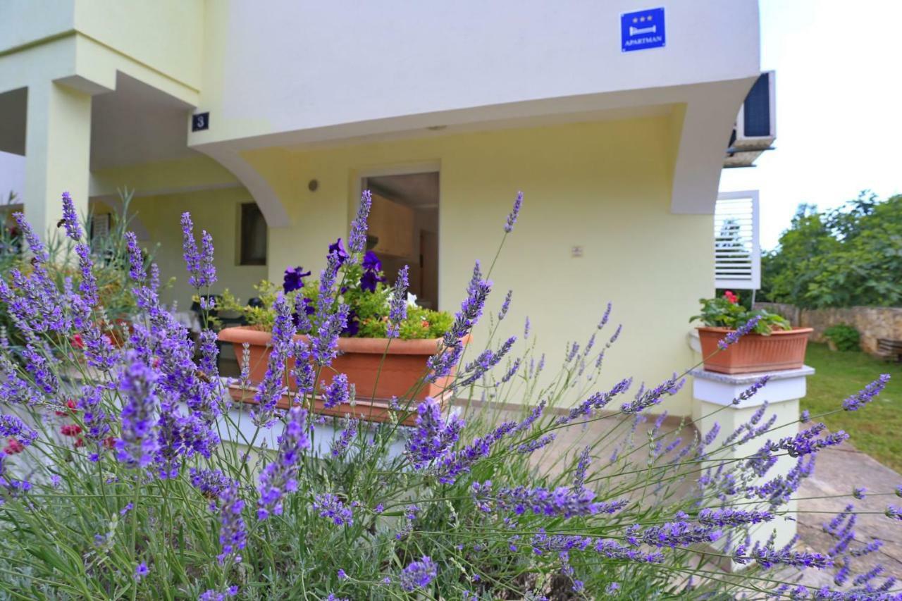 Apartments Romansa Zaton  Εξωτερικό φωτογραφία