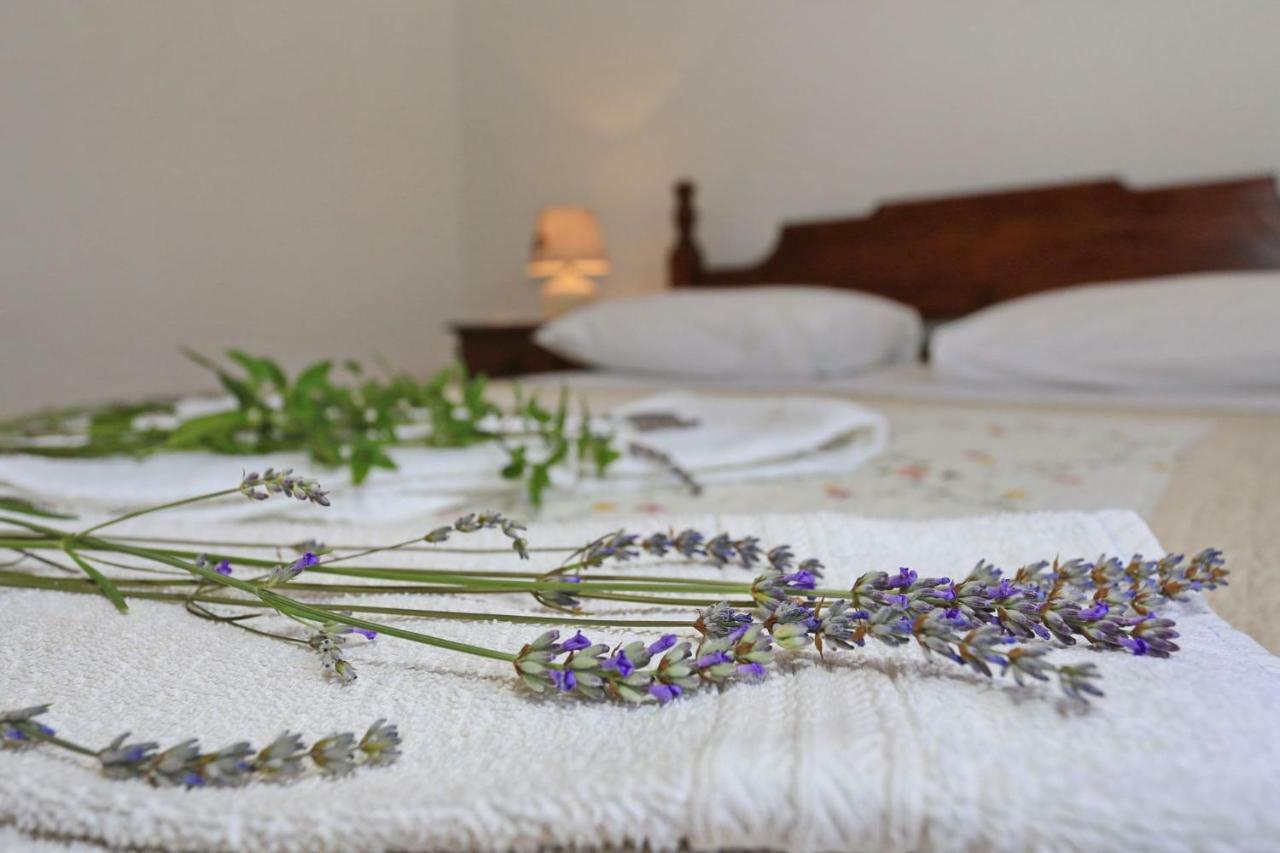 Apartments Romansa Zaton  Εξωτερικό φωτογραφία